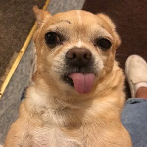 Meet your Posher, Cecilia